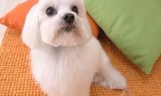 哭过的泪不会有痕迹