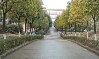 江西十大私立学校 江西美佛儿国际学校