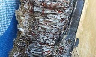 mh370失联是哪一年 马航MH370失联六周年