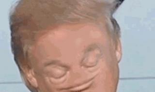 特朗普谈tiktok方案