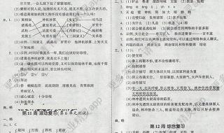 五年级下册暑假答案 五年级下册暑假答案