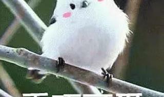 能不能推荐几首好听而且容易唱出来的英文歌啊.英语课上要表演,谢谢了 推荐好听的英文歌