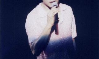 怀念张国荣演唱会2013