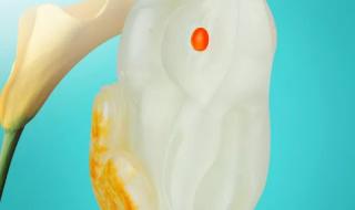 兔字谐音的吉祥成语